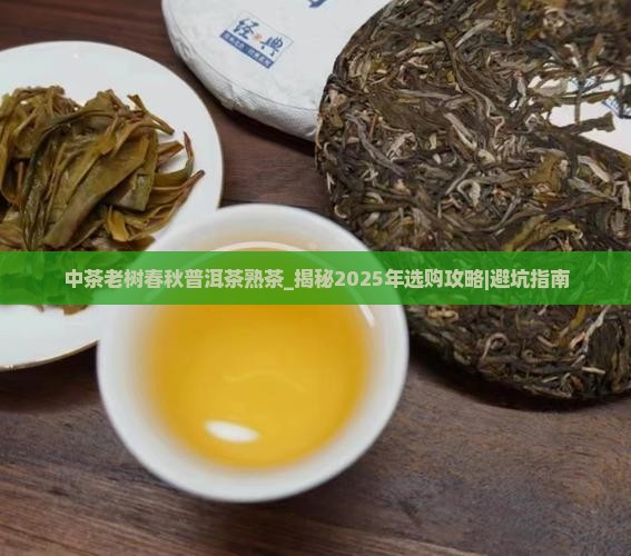 中茶老树春秋普洱茶熟茶