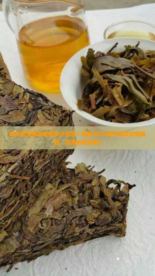 单次普洱茶投茶量