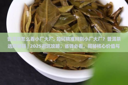 普洱茶怎么看小厂大厂