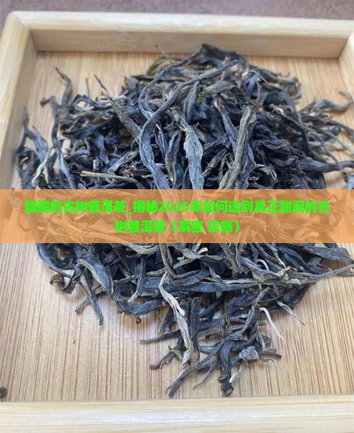 甜甜的古树普洱茶 甜甜的古树普洱茶