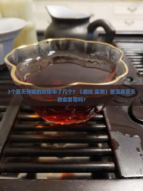 普洱茶夏天存放不能发霉吗