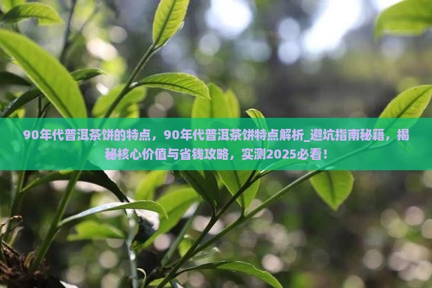 90年代普洱茶饼的特点