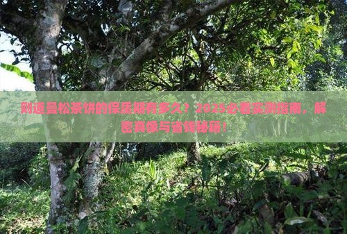 则道曼松茶饼有保质期吗