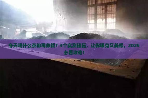冬天喝什么茶排毒养颜