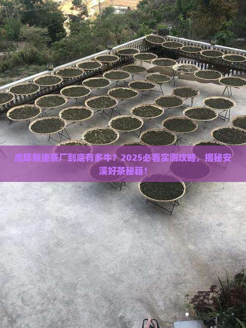 安溪县虎邱新唐茶厂