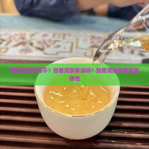 熟普洱茶寒凉不