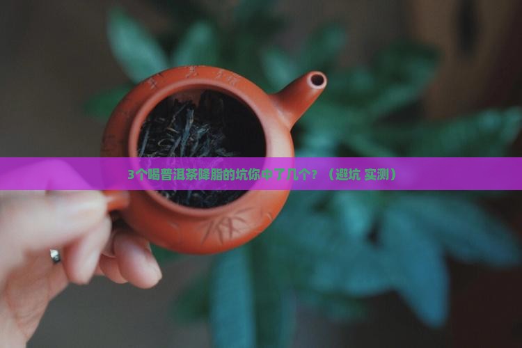 普洱茶是如何降脂的