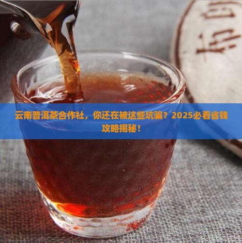 云南普洱茶合作社