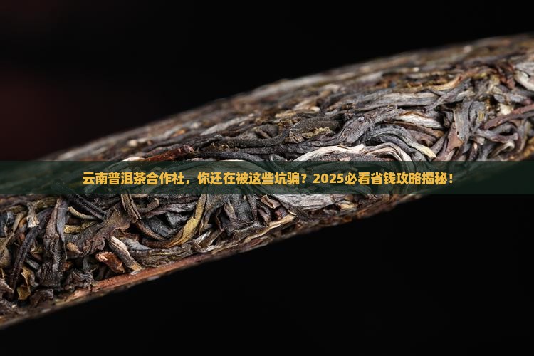 云南普洱茶合作社