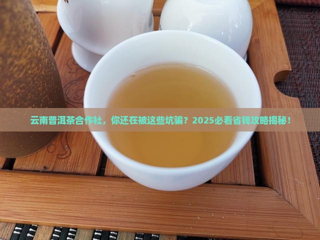 云南普洱茶合作社