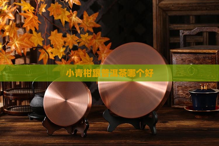 小青柑跟普洱茶哪个好