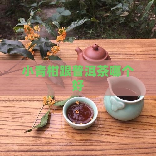 小青柑跟普洱茶哪个好