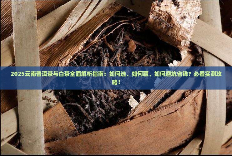 云南普洱茶云南白茶