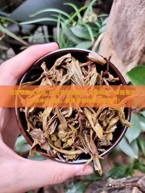 桔普茶怎么泡茶