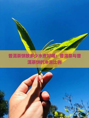 普洱茶饼放多少水煮好喝
