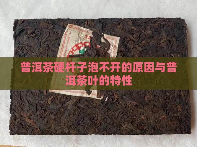 普洱茶硬杆子泡不开