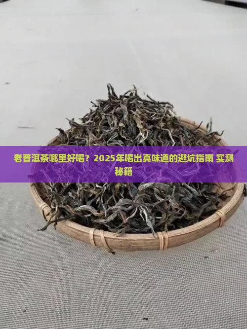 老普洱茶哪里好喝一点的