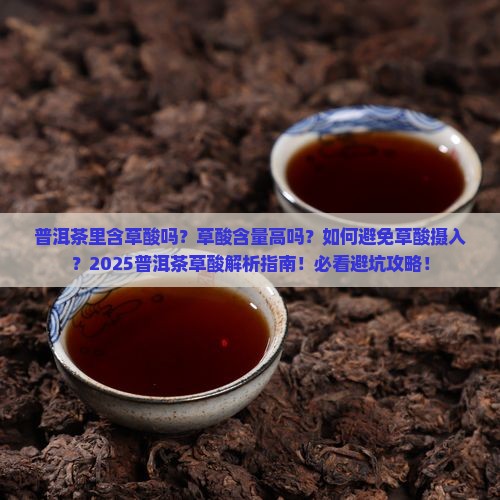 普洱茶里含草酸么