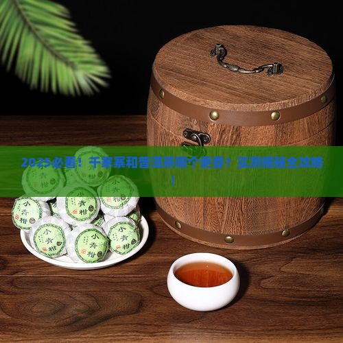 千家寨与普洱茶哪个好一点