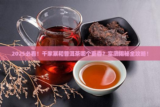 千家寨与普洱茶哪个好一点