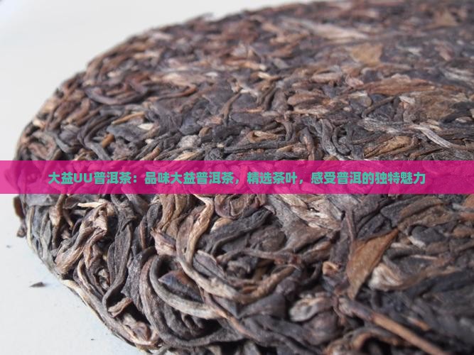 大益UU普洱茶