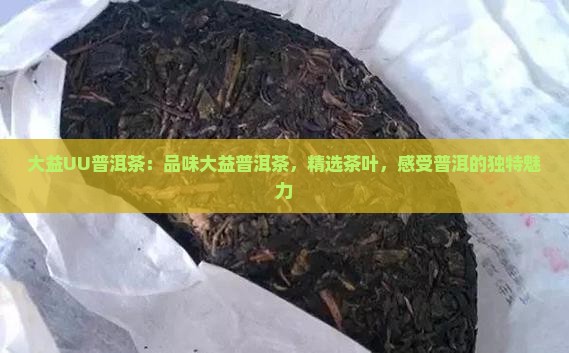 大益UU普洱茶