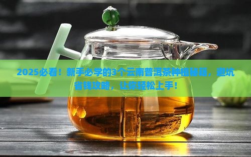 云南普洱茶种植技术要点