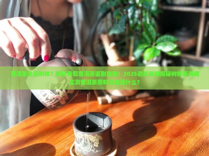 普洱茶全是树枝