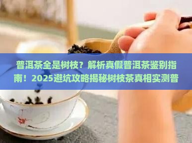 普洱茶全是树枝