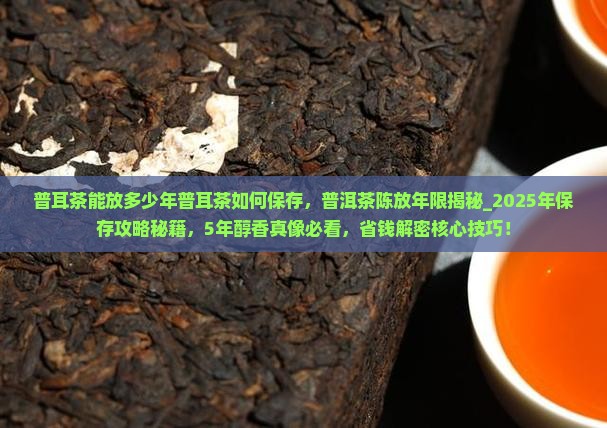 普耳茶能放多少年普耳茶如何保存