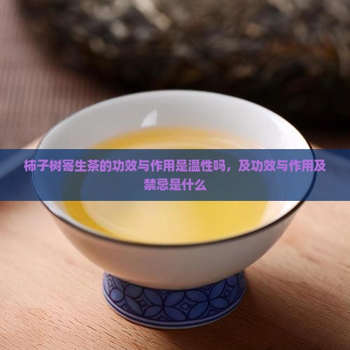 柿子树寄生茶的功效与作用