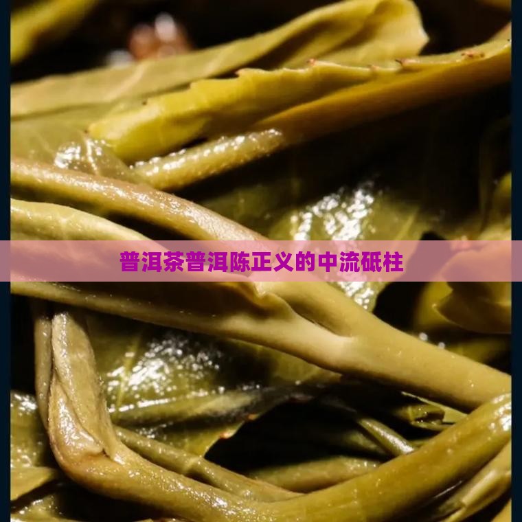 普洱茶陈正义的中流砥柱
