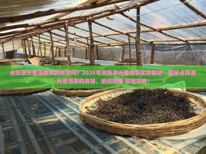 点阵激光普洱茶