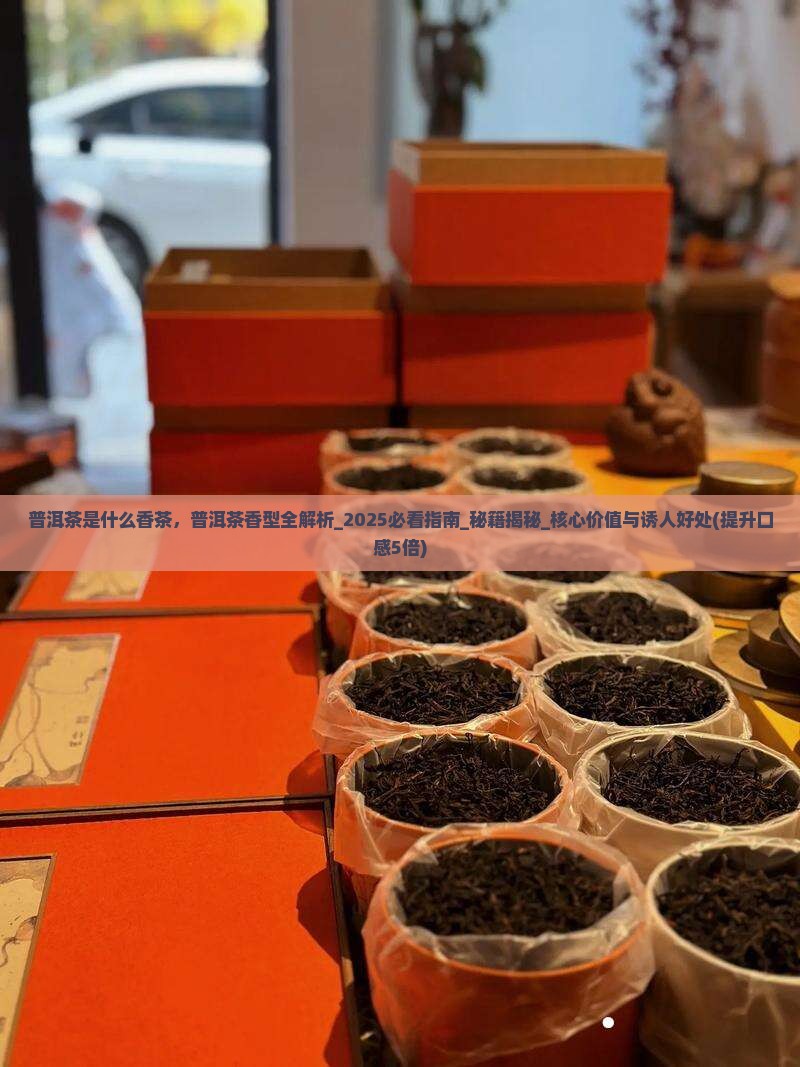 普洱茶是什么香茶
