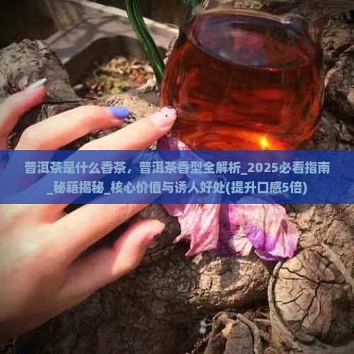 普洱茶是什么香茶