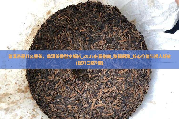 普洱茶是什么香茶