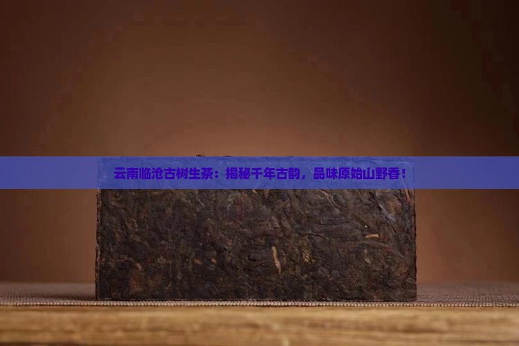 云南临沧古树生茶