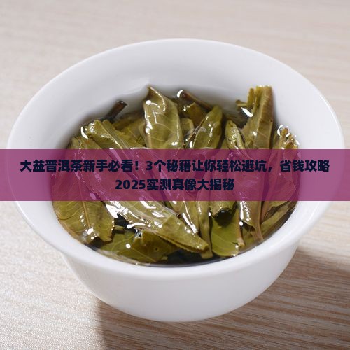 大益普洱茶必备知识