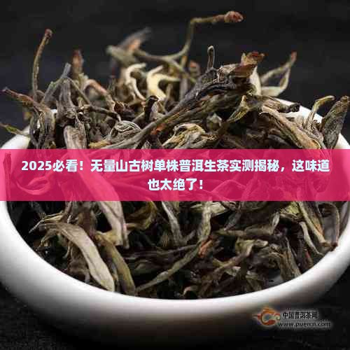 无量山古树单株普洱茶生茶
