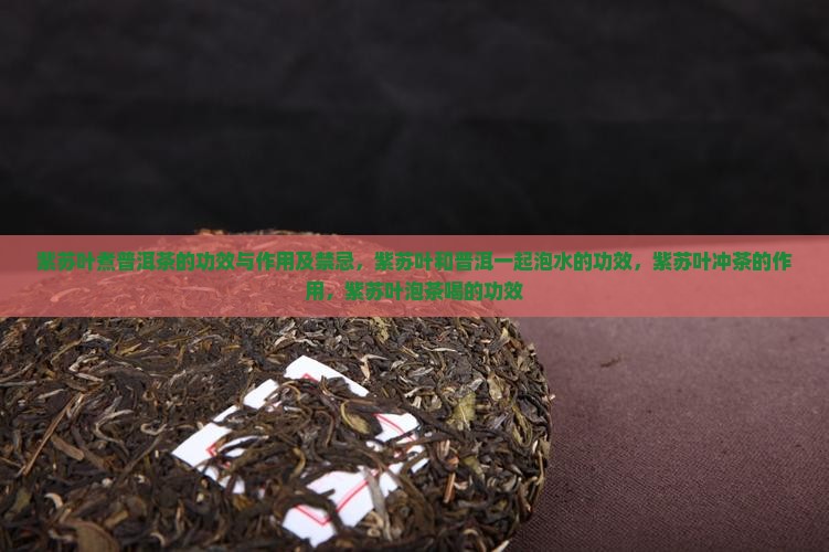 紫苏叶煮普洱茶的功效与作用