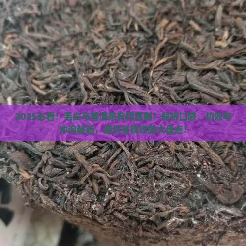 毛尖喝普洱茶有区别吗