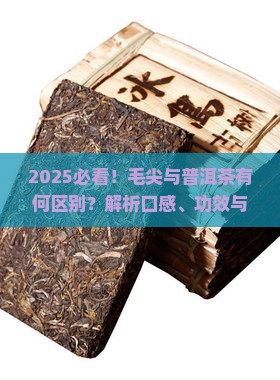 毛尖喝普洱茶有区别吗