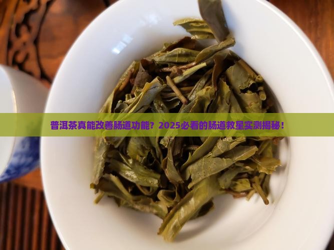 普洱茶改善肠道功能不好