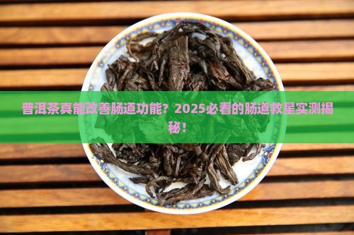 普洱茶改善肠道功能不好