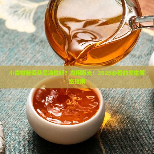 小青柑普洱茶是凉性吗