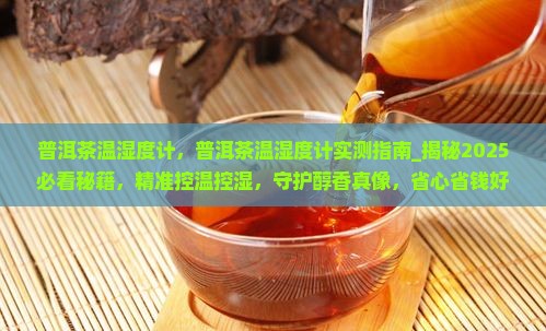 普洱茶温湿度计