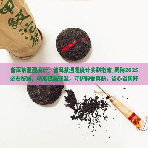 普洱茶温湿度计