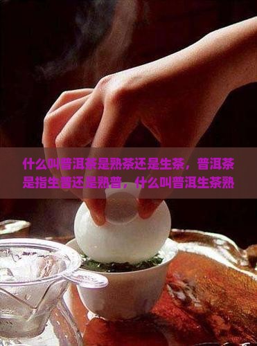 什么叫普洱茶是熟茶还是生茶
