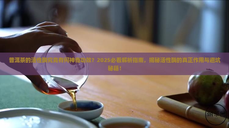 普洱茶的活性酶