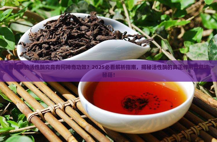 普洱茶的活性酶